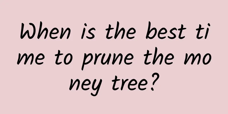 When is the best time to prune the money tree?