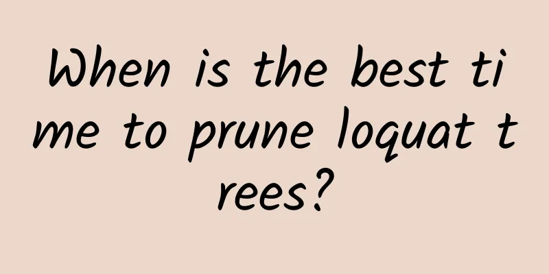 When is the best time to prune loquat trees?