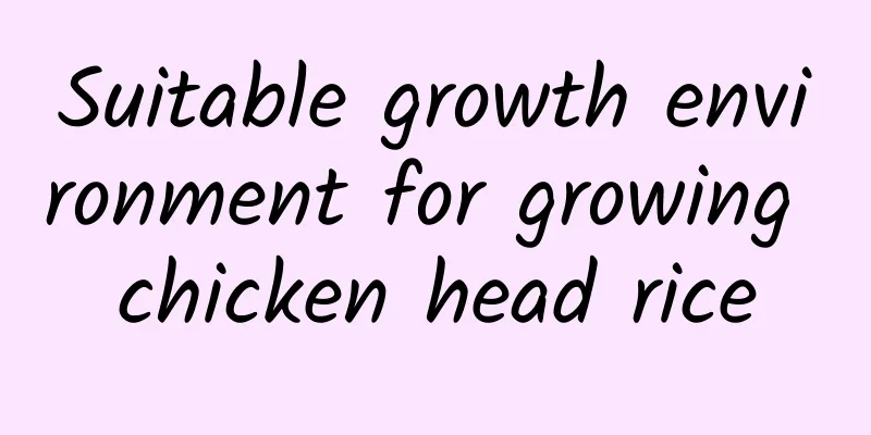 Suitable growth environment for growing chicken head rice