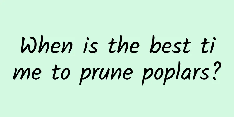 When is the best time to prune poplars?