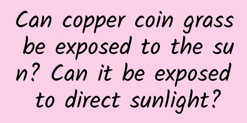 Can copper coin grass be exposed to the sun? Can it be exposed to direct sunlight?