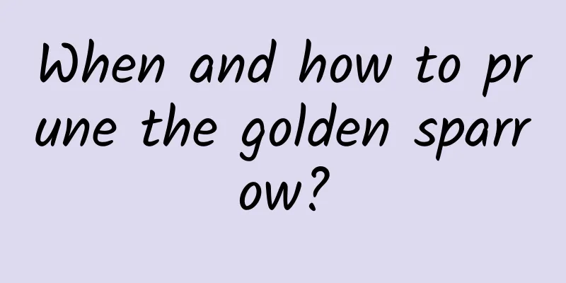 When and how to prune the golden sparrow?