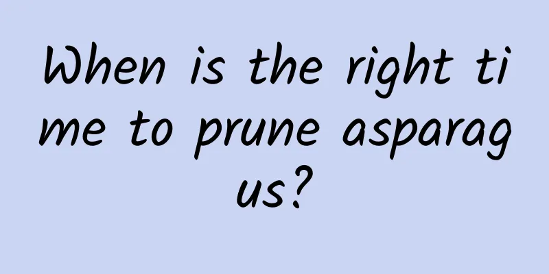 When is the right time to prune asparagus?