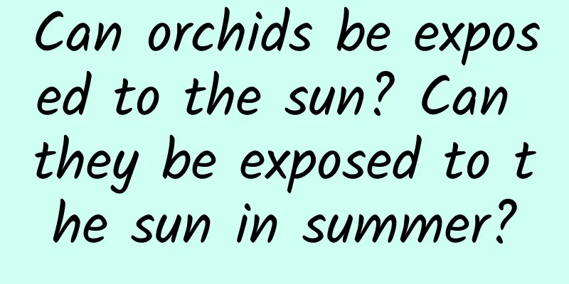 Can orchids be exposed to the sun? Can they be exposed to the sun in summer?
