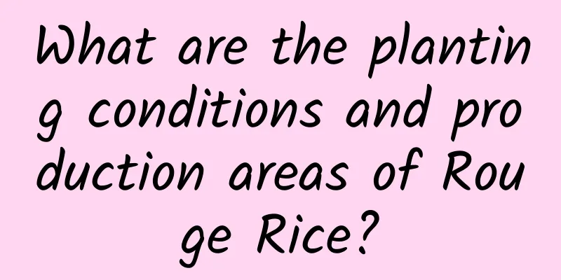 What are the planting conditions and production areas of Rouge Rice?