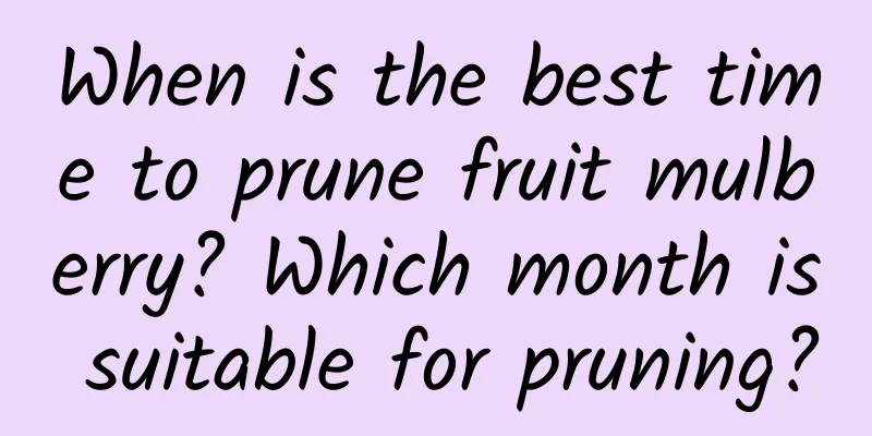 When is the best time to prune fruit mulberry? Which month is suitable for pruning?