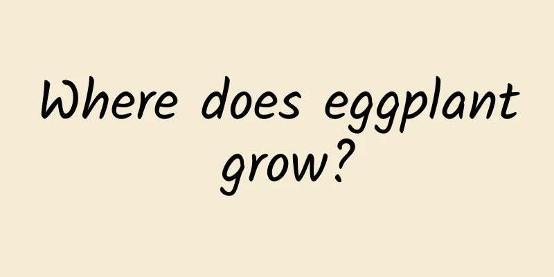 Where does eggplant grow?