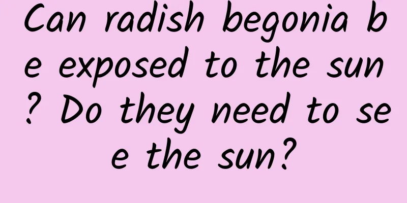 Can radish begonia be exposed to the sun? Do they need to see the sun?