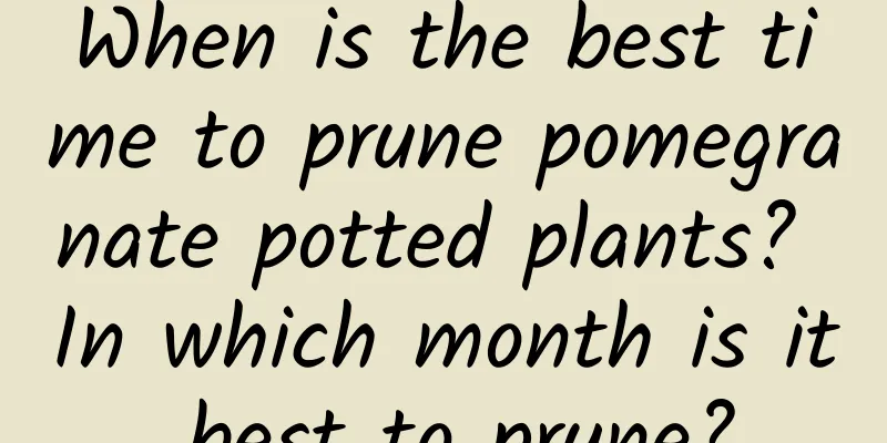 When is the best time to prune pomegranate potted plants? In which month is it best to prune?