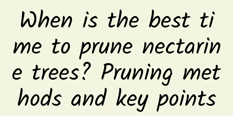 When is the best time to prune nectarine trees? Pruning methods and key points