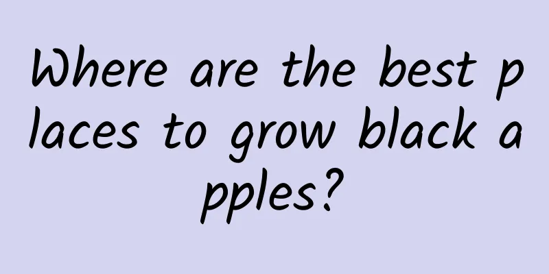 Where are the best places to grow black apples?