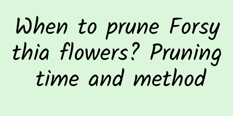 When to prune Forsythia flowers? Pruning time and method