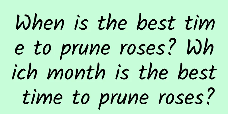 When is the best time to prune roses? Which month is the best time to prune roses?