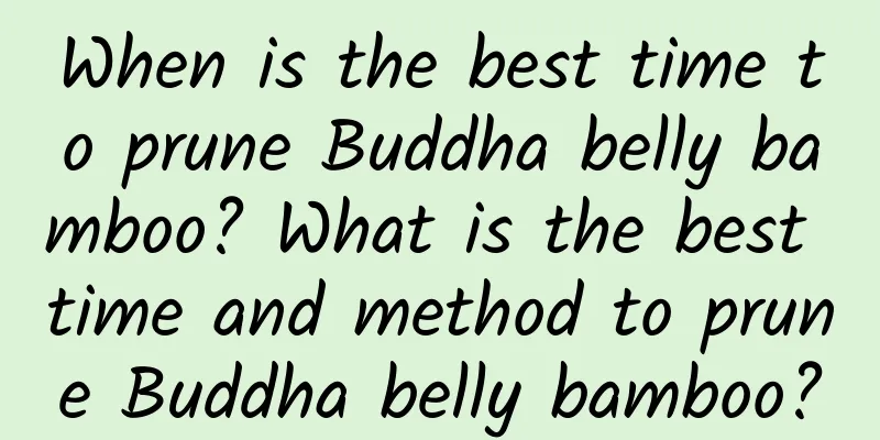 When is the best time to prune Buddha belly bamboo? What is the best time and method to prune Buddha belly bamboo?
