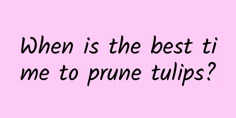 When is the best time to prune tulips?