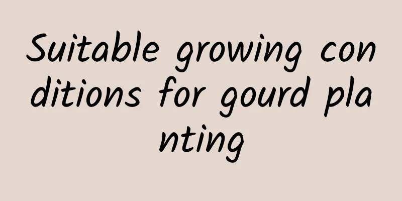 Suitable growing conditions for gourd planting