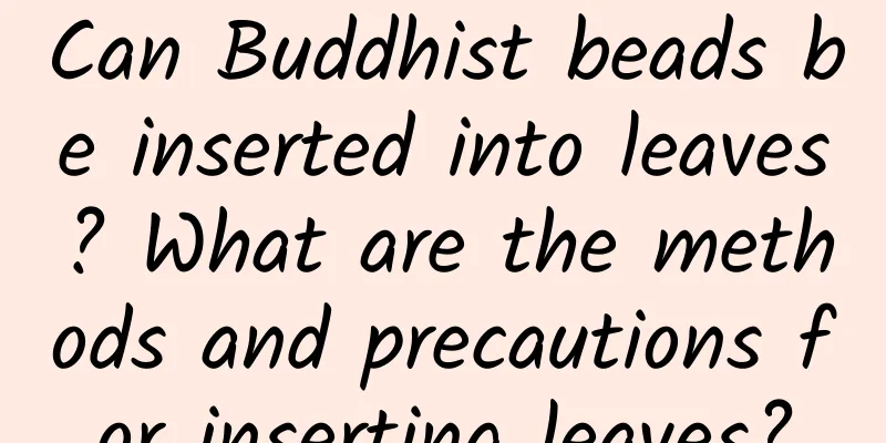 Can Buddhist beads be inserted into leaves? What are the methods and precautions for inserting leaves?