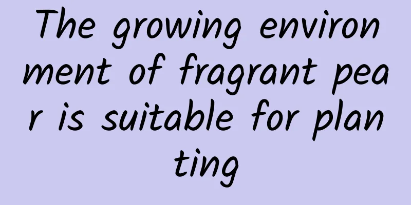 The growing environment of fragrant pear is suitable for planting