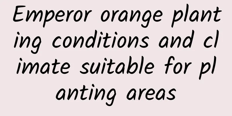 Emperor orange planting conditions and climate suitable for planting areas