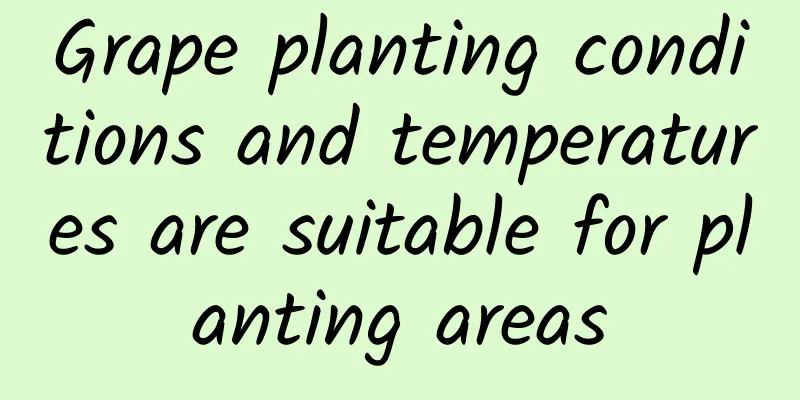 Grape planting conditions and temperatures are suitable for planting areas