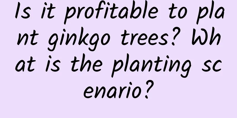 Is it profitable to plant ginkgo trees? What is the planting scenario?