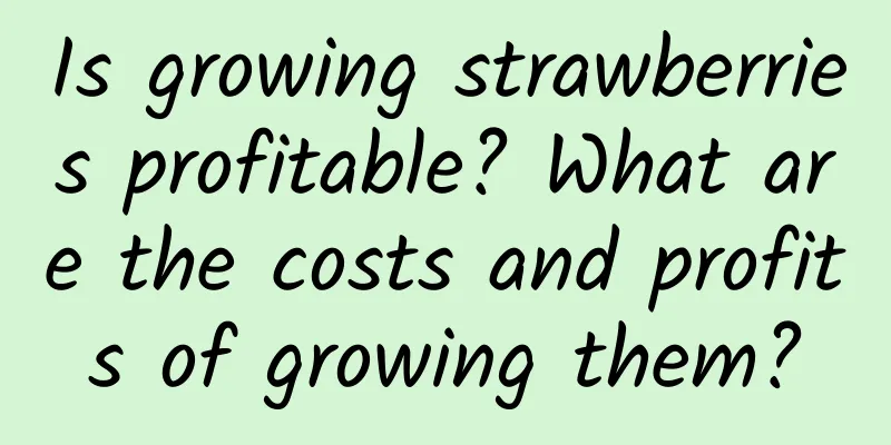 Is growing strawberries profitable? What are the costs and profits of growing them?