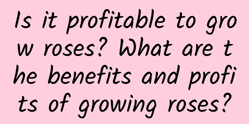 Is it profitable to grow roses? What are the benefits and profits of growing roses?