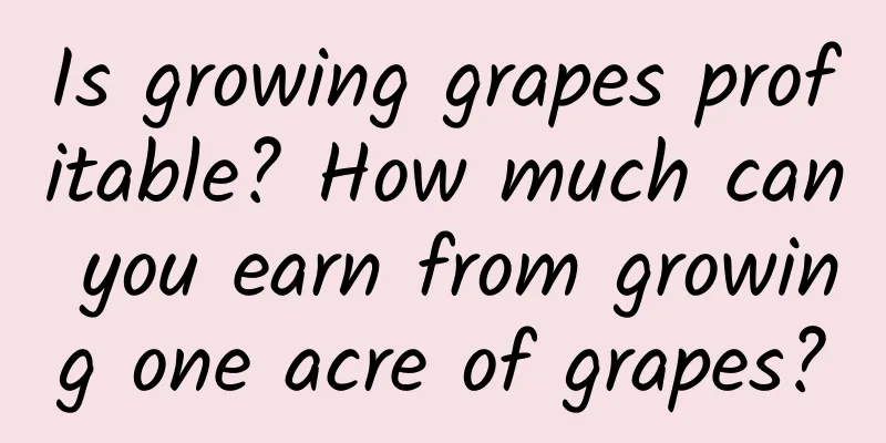 Is growing grapes profitable? How much can you earn from growing one acre of grapes?