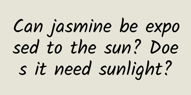 Can jasmine be exposed to the sun? Does it need sunlight?