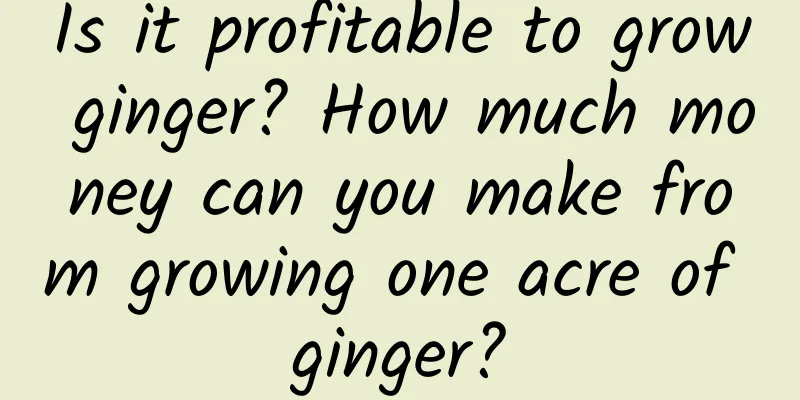 Is it profitable to grow ginger? How much money can you make from growing one acre of ginger?