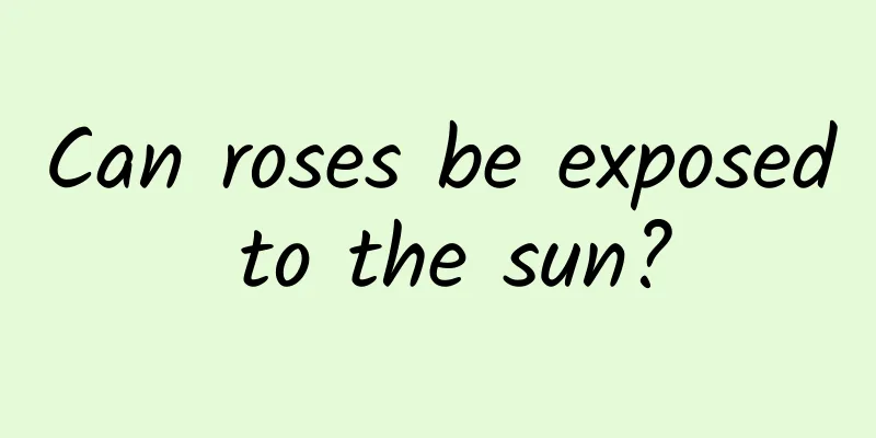 Can roses be exposed to the sun?