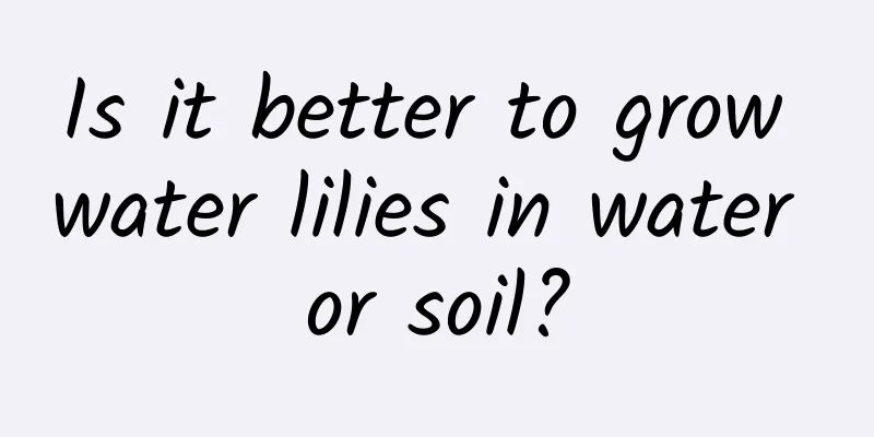 Is it better to grow water lilies in water or soil?