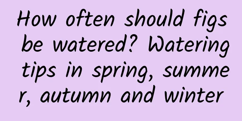 How often should figs be watered? Watering tips in spring, summer, autumn and winter