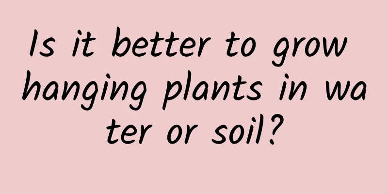 Is it better to grow hanging plants in water or soil?