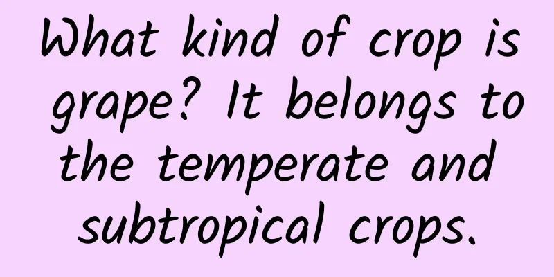 What kind of crop is grape? It belongs to the temperate and subtropical crops.