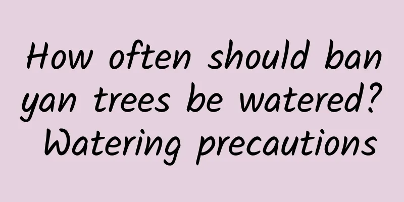 How often should banyan trees be watered? Watering precautions