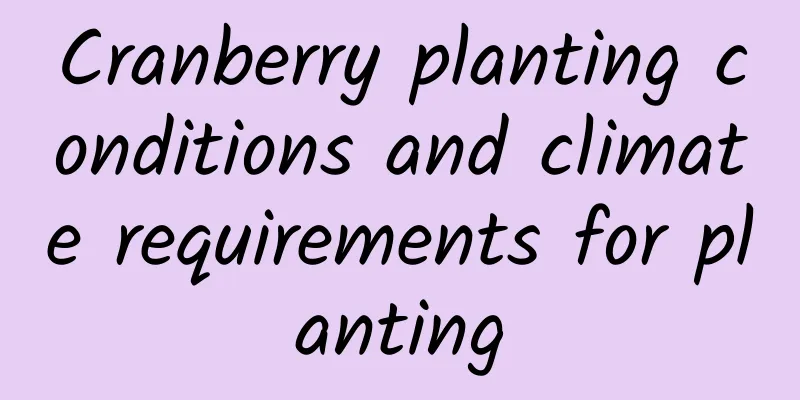 Cranberry planting conditions and climate requirements for planting