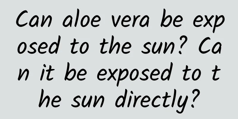 Can aloe vera be exposed to the sun? Can it be exposed to the sun directly?