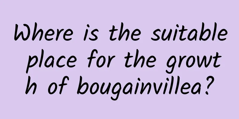 Where is the suitable place for the growth of bougainvillea?