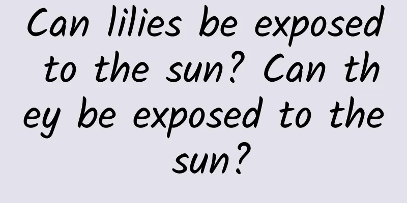 Can lilies be exposed to the sun? Can they be exposed to the sun?