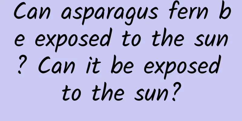 Can asparagus fern be exposed to the sun? Can it be exposed to the sun?