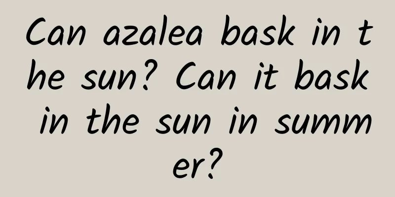 Can azalea bask in the sun? Can it bask in the sun in summer?