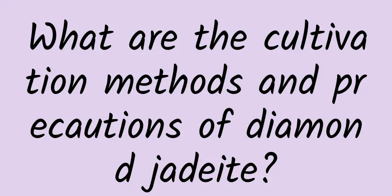 What are the cultivation methods and precautions of diamond jadeite?
