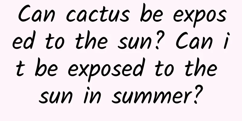 Can cactus be exposed to the sun? Can it be exposed to the sun in summer?
