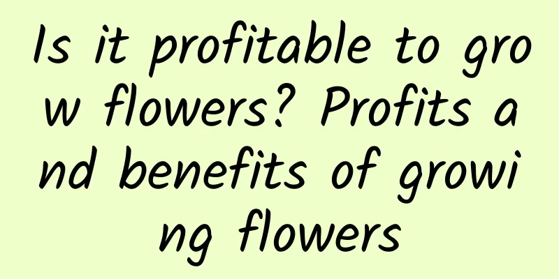 Is it profitable to grow flowers? Profits and benefits of growing flowers