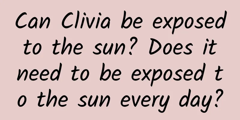 Can Clivia be exposed to the sun? Does it need to be exposed to the sun every day?