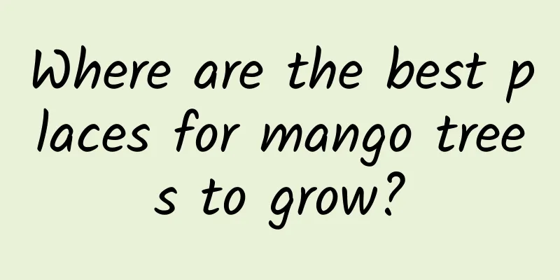 Where are the best places for mango trees to grow?