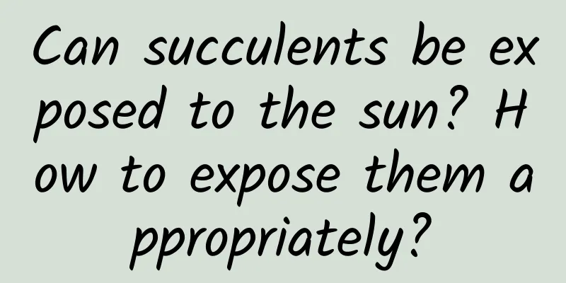 Can succulents be exposed to the sun? How to expose them appropriately?