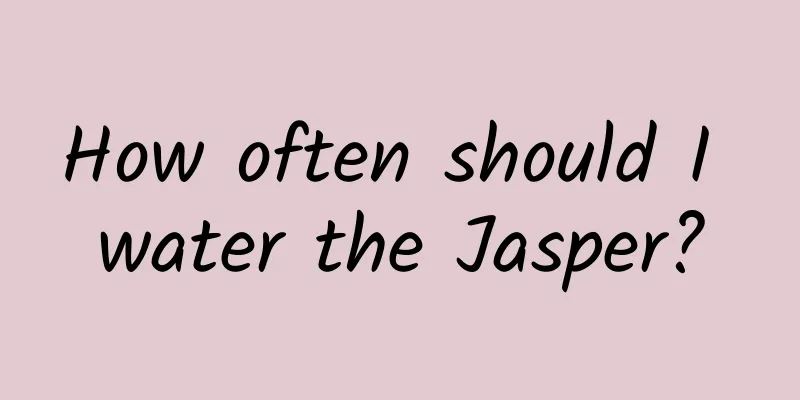 How often should I water the Jasper?
