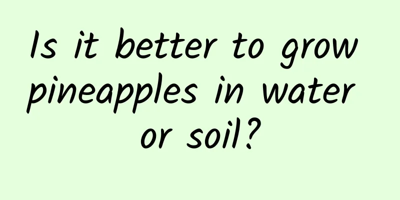 Is it better to grow pineapples in water or soil?